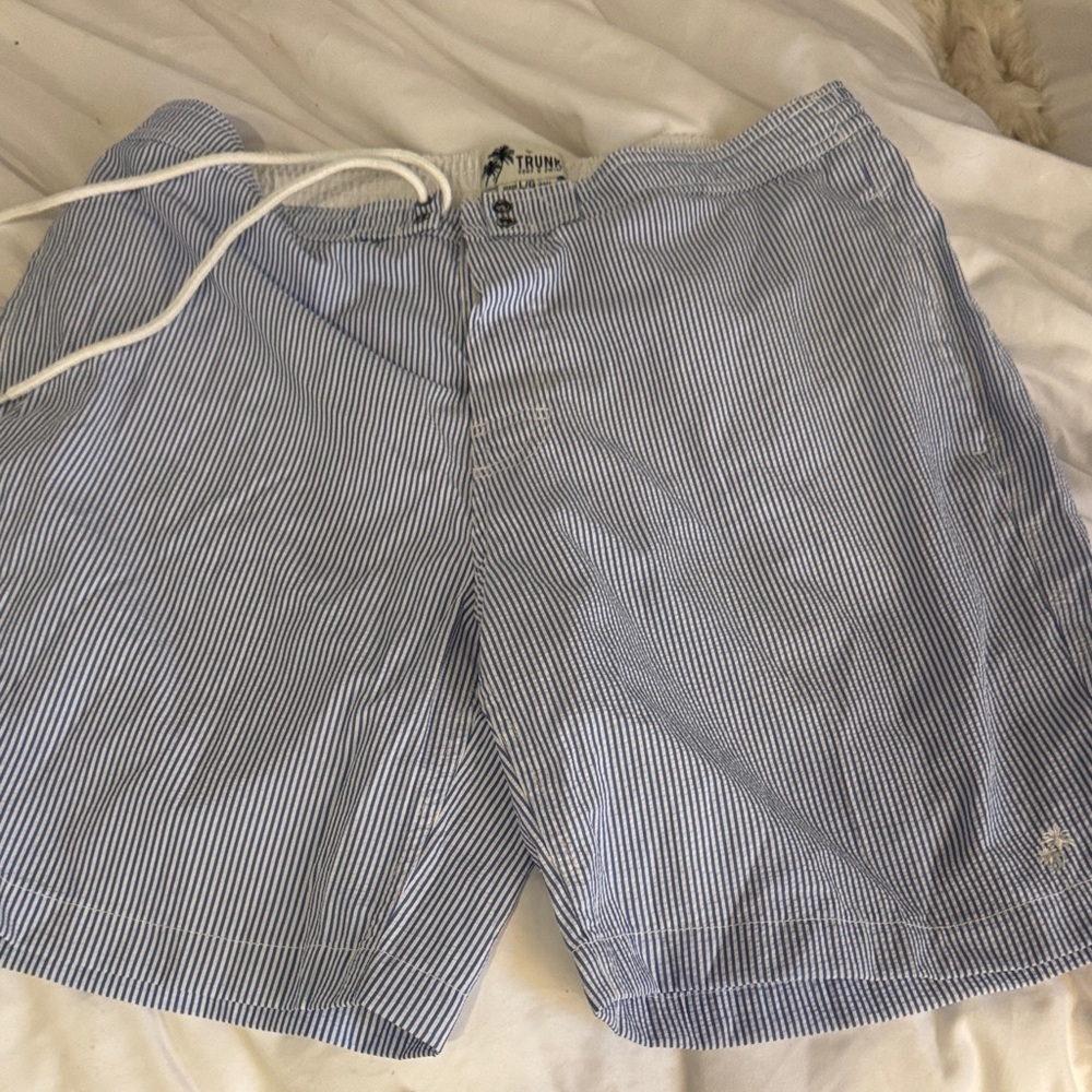 Classic Blue and White Striped Board Shorts